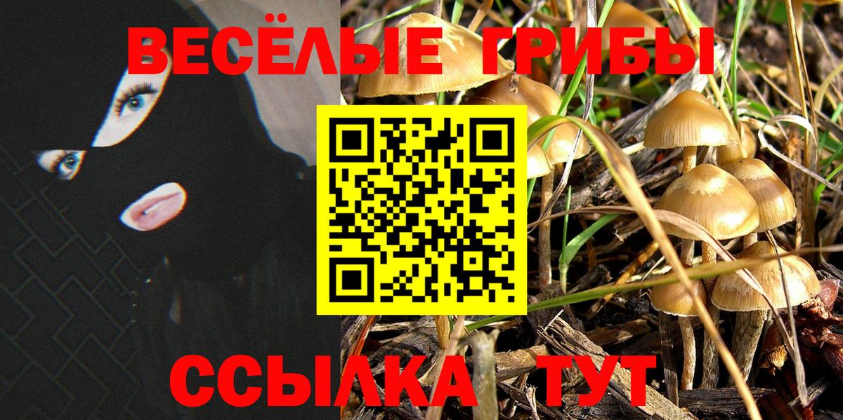Псилоцибиновые грибы Psilocybe Урюпинск