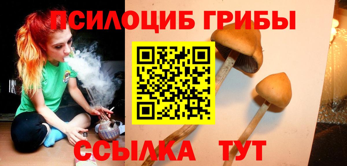 Псилоцибиновые грибы Cubensis  Вход с VPN  Урюпинск 