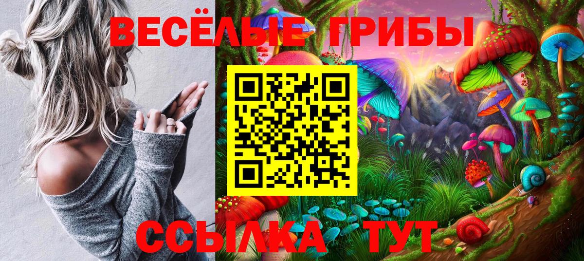 Галлюциногенные грибы GOLDEN TEACHER  Урюпинск 